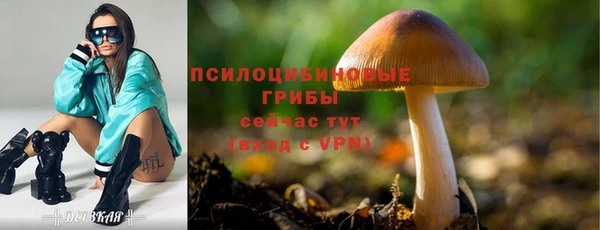 метадон Нея
