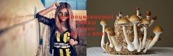 метадон Нея