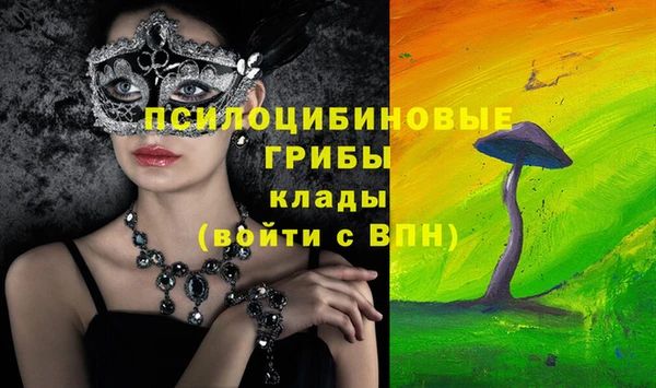 стаф Нефтегорск