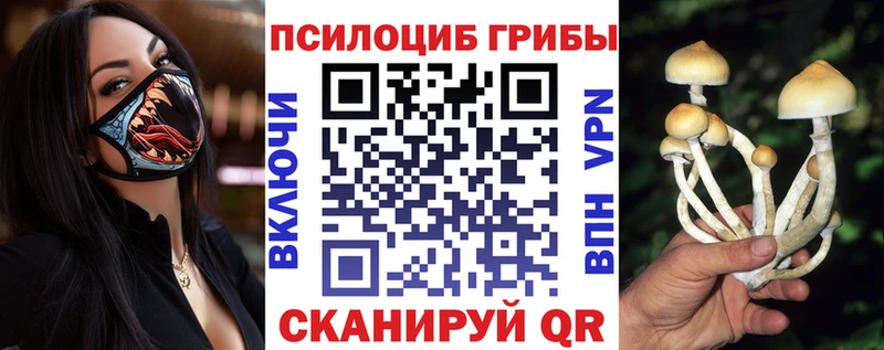 Галлюциногенные грибы Cubensis Козельск