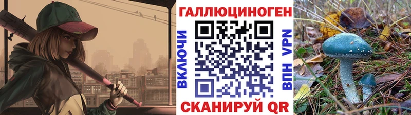 Псилоцибиновые грибы MAGIC MUSHROOMS  продажа наркотиков  это официальный сайт  Козельск 